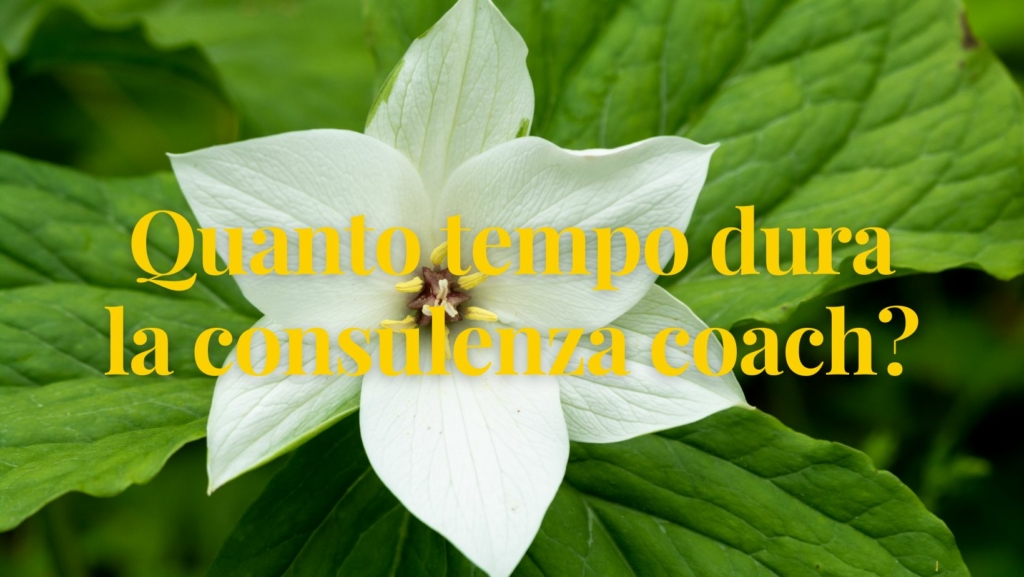 Quanto tempo dura la consulenza coach